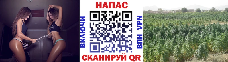 Конопля тримм  Ульяновск 